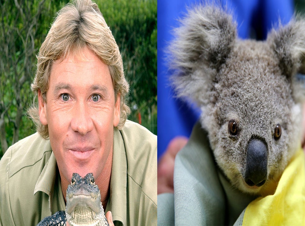 Steve Irwin's family have saved 90,000 animals including many hurt in ...