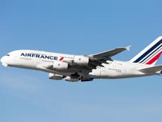 ‘Child stowaway’ found dead in plane’s landing gear at Paris airport