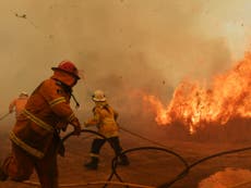 News Corp employee quits over ‘dangerous’ wildfire coverage