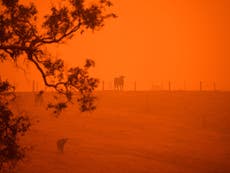 Australia wildfires: Scott Morrison continues to deny climate threat despite ‘apocalyptic’ blazes