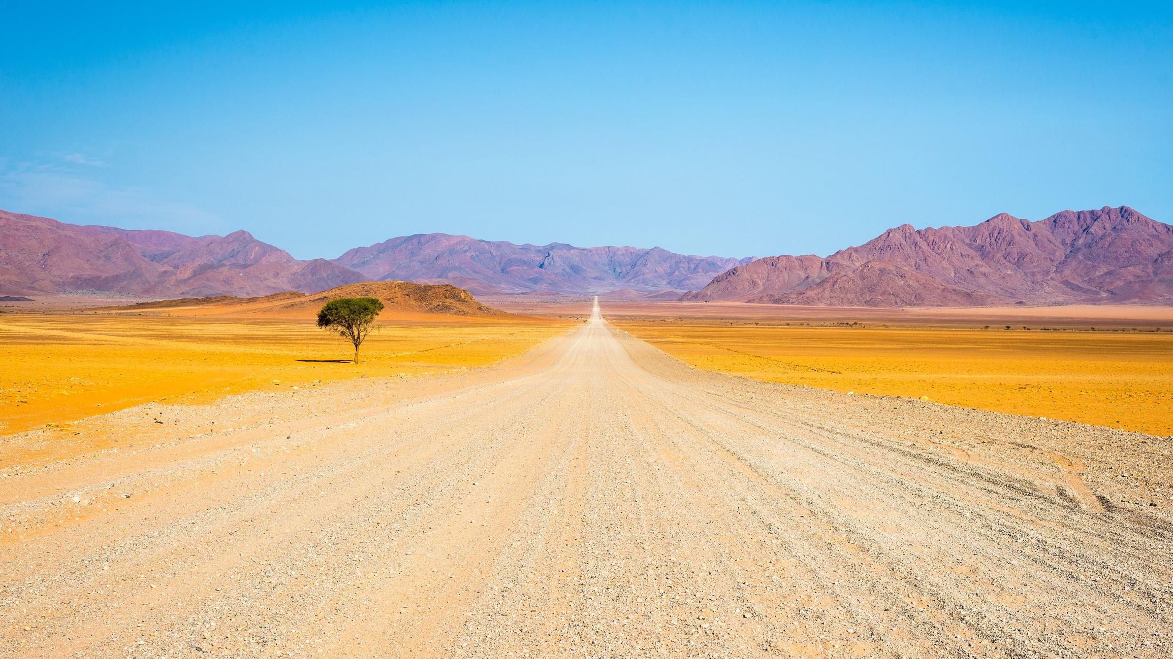 Driving the Namib-Naukluft National Park (Getty/iStock)