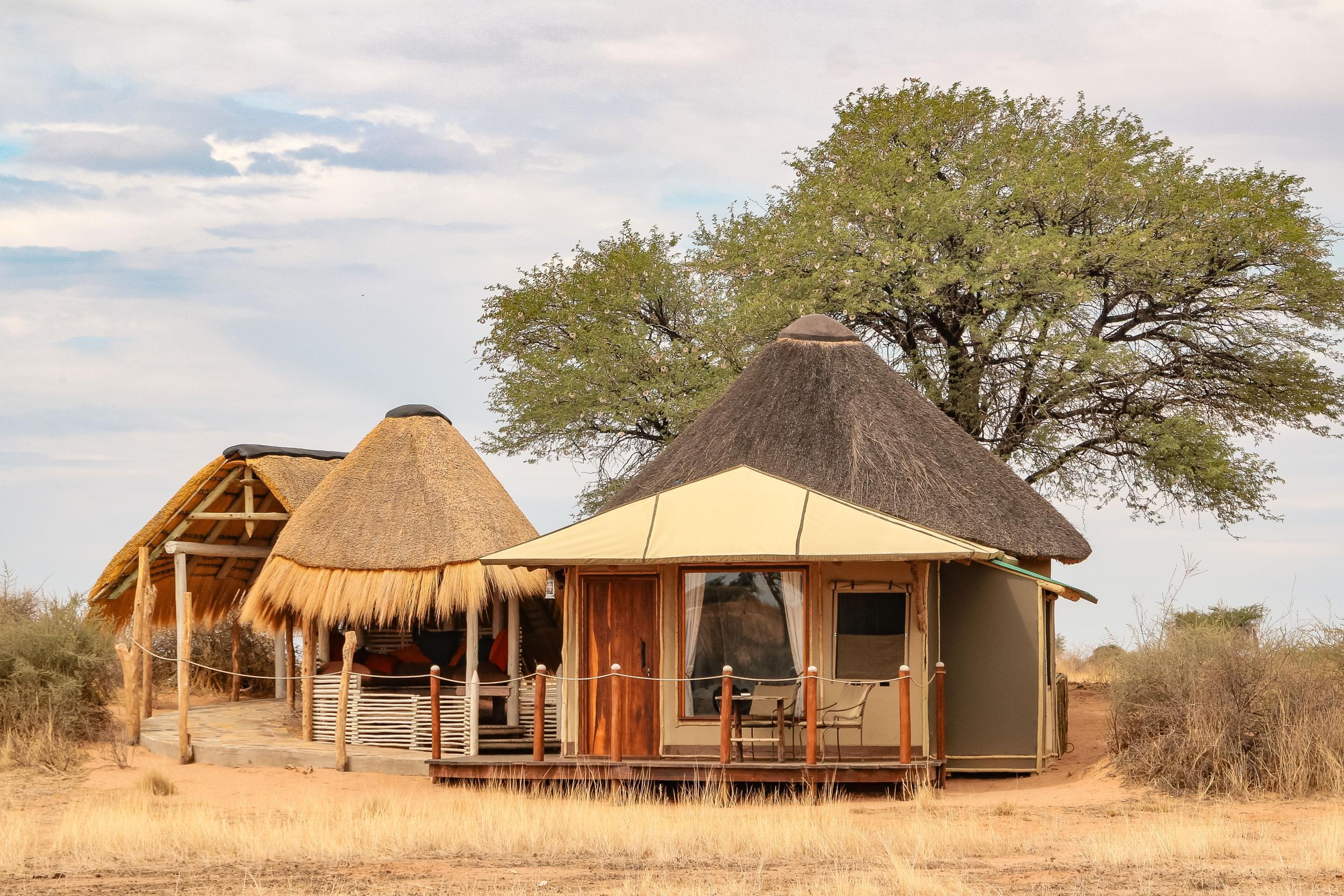 Accommodation in the Kalahari (Kalahari Red Dunes Lodge)