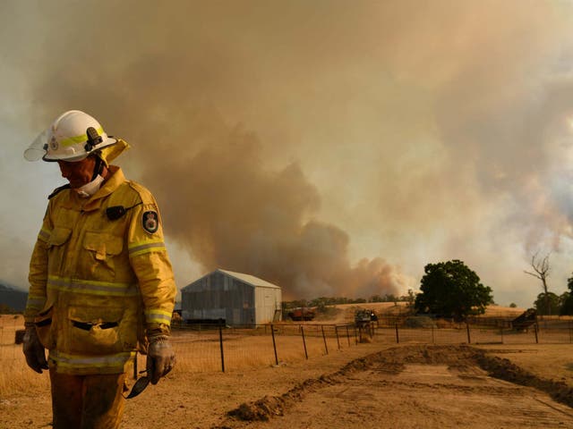 Trevor Stewart, one of the firefighters in Tumbarumba, New South Wales, where the 'megafire' is burning