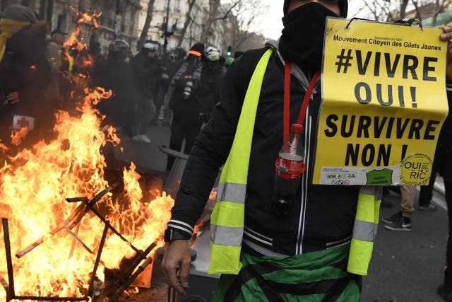 A man holds a banner reading "living yes ! Surviving no !" as protesters demonstrate in Paris