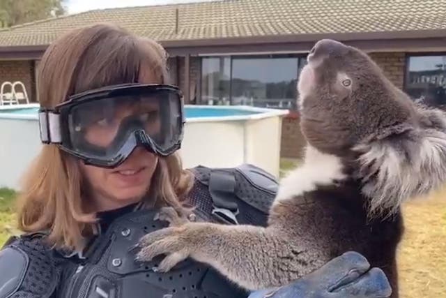 ITV News reporter Debi Edward was fooled by an on-air prank about a vicious 'drop bear' in Australia