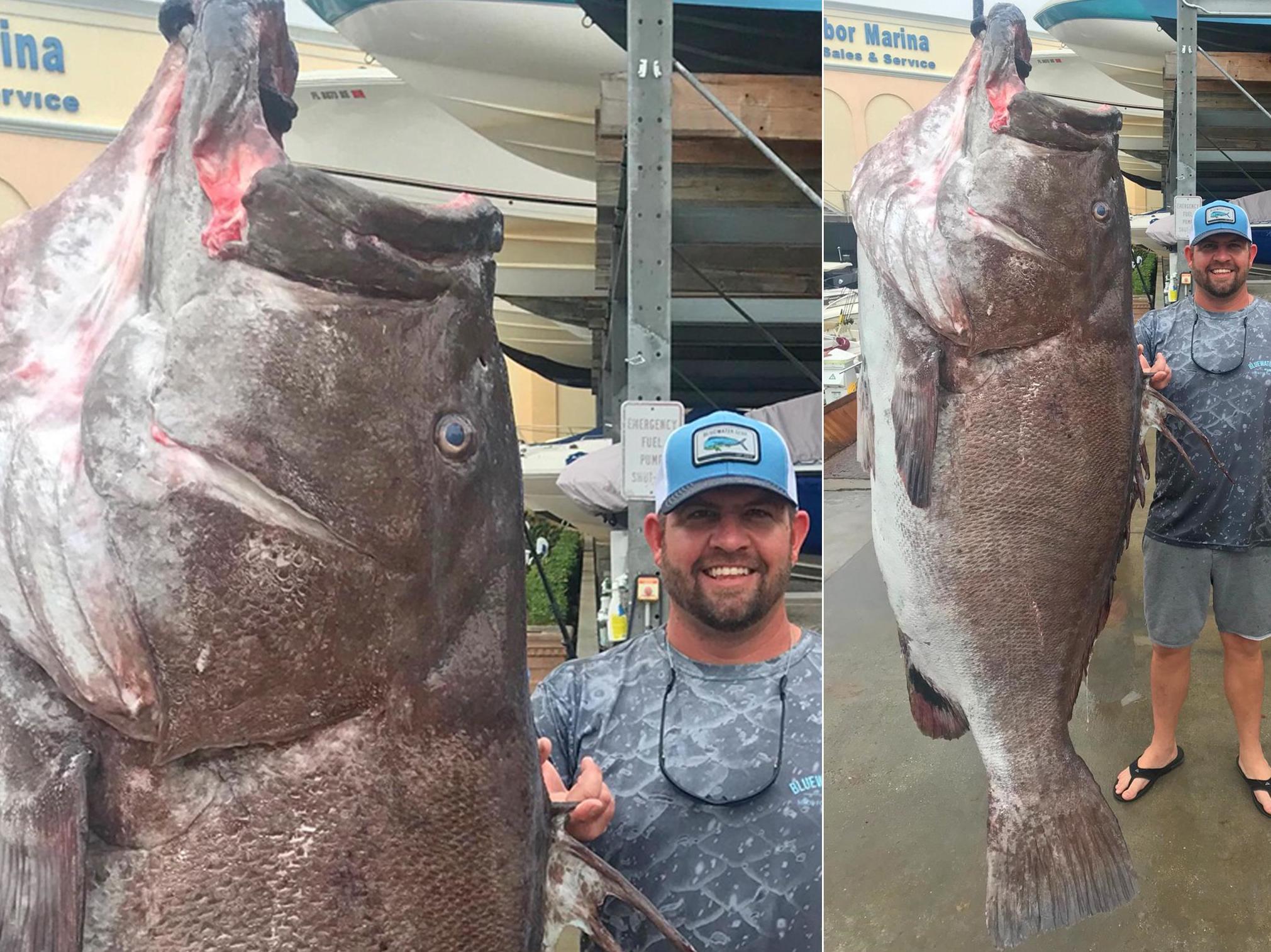 Man captures rare 50-year-old giant fish whose population is unknown