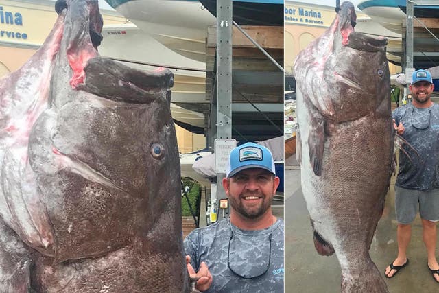 Game officials believe the fish was 50 years old, making it the oldest documented in Florida