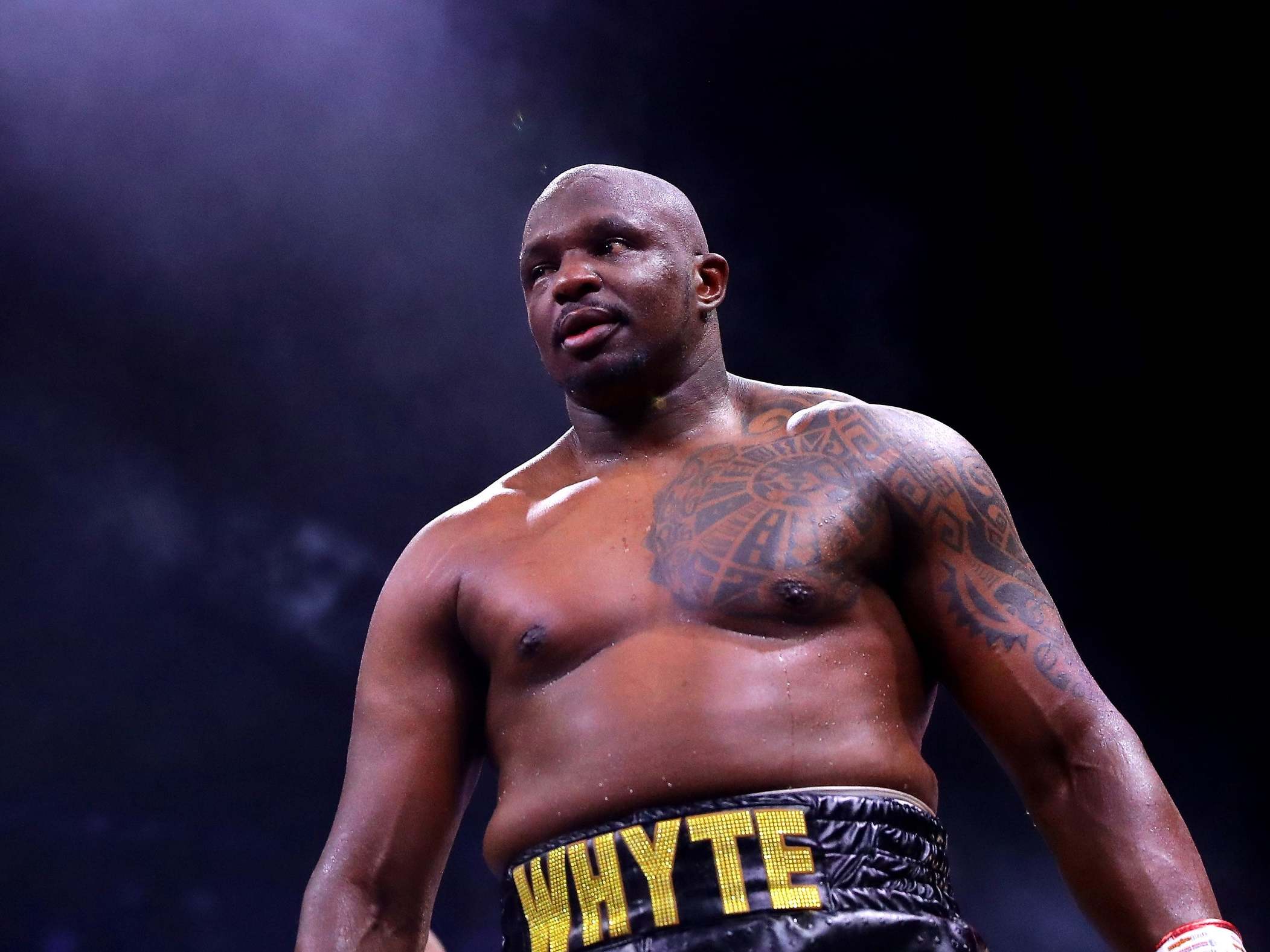 Whyte wants 'two or three more fights' against Joshua