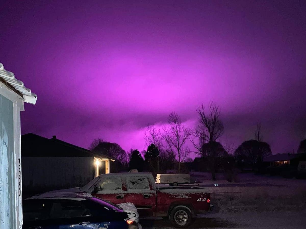 Sjov skuffet forbrydelse Sky glows purple in light of medical marijuana farm | The Independent | The  Independent