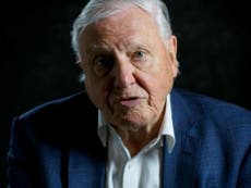 David Attenborough says we could permanently work from home