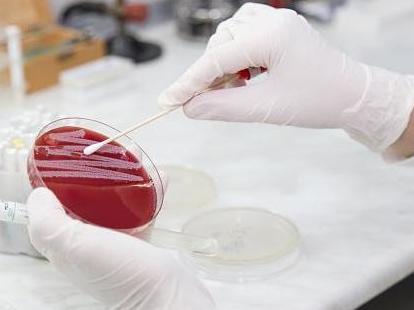 AI discovers antibiotic to treat drug-resistant diseases for first time