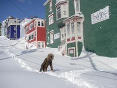 Record-breaking blizzard dumps 80cm of snow on Newfoundland