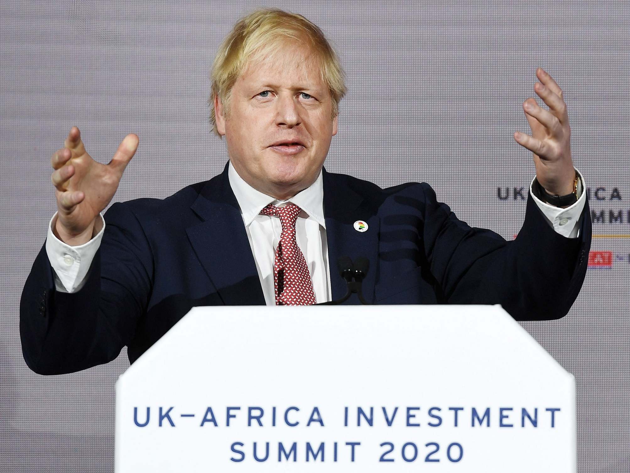 Johnson made the announcement at a recent summit in London