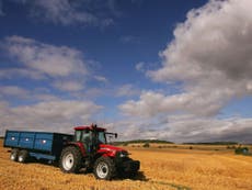Brexit is an chance to showcase Britain’s farming