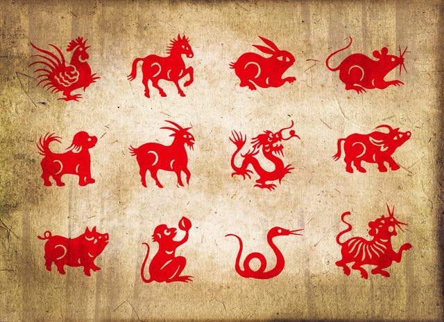 Chinese New Year 2020 Animal / Chinese New Year 2020 Banner