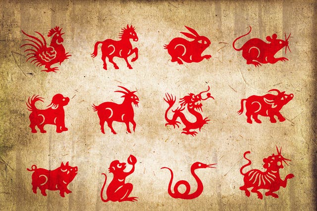 Animal house: the dozen members of the Chinese zodiac