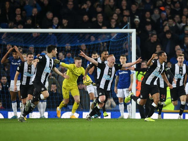 Newcastle celebrate their late equaliser as Everton look on