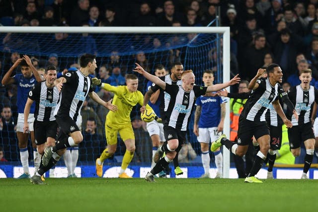 Newcastle celebrate their late equaliser as Everton look on