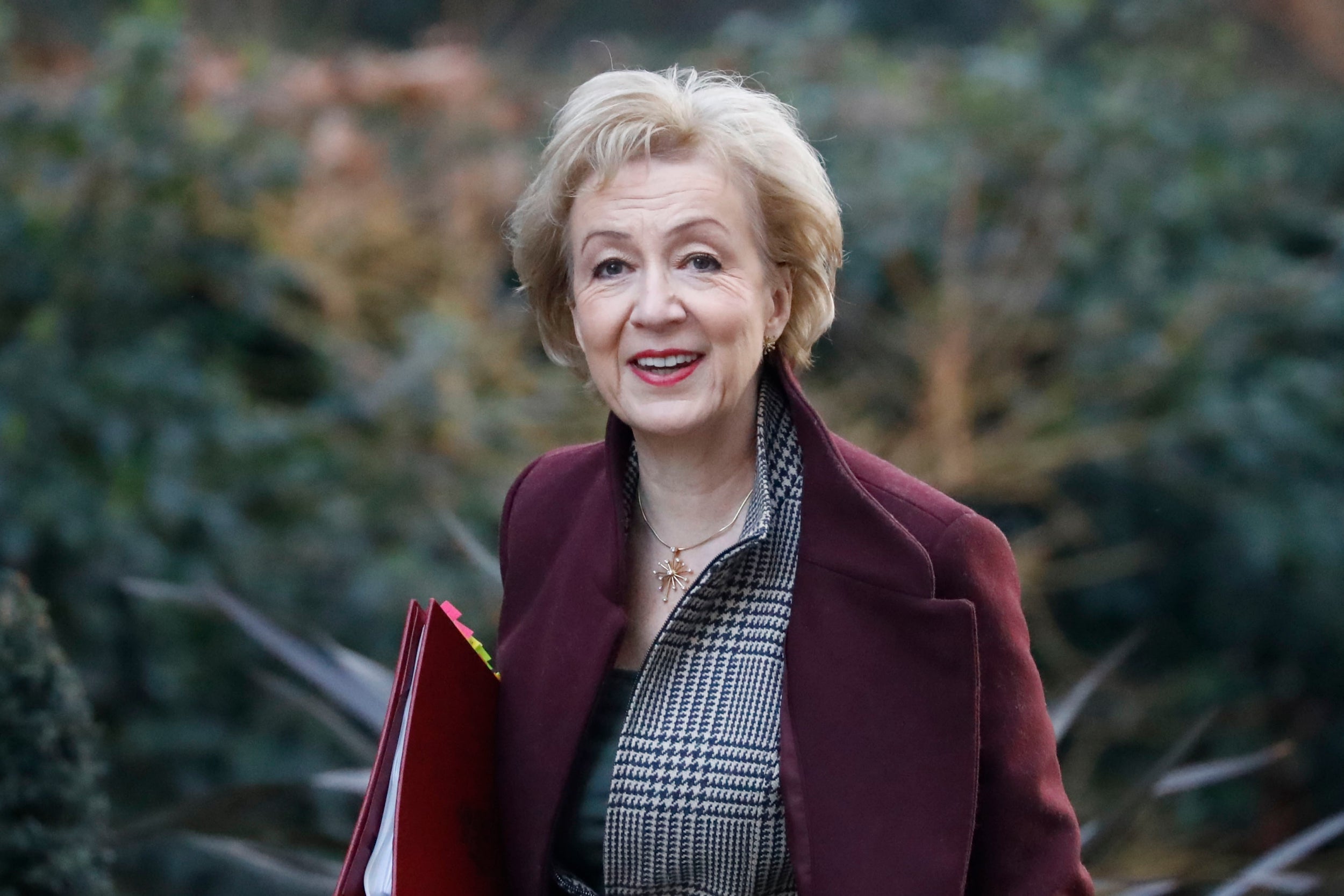 Andrea Leadsom Business Secretary And Senior Brexiteer Sacked From Cabinet The Independent 