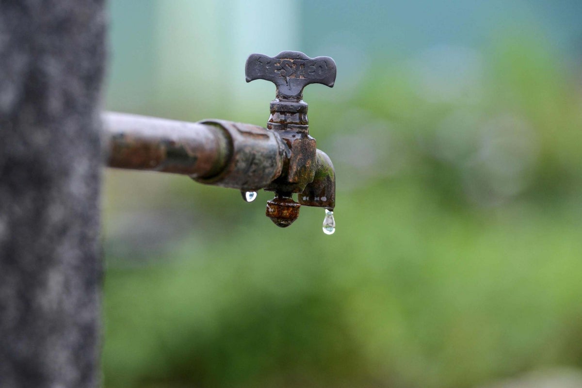 The toxic ‘forever chemicals’ linked to deadly childhood cancer