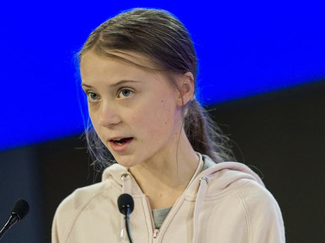 Greta Thunberg condemned US government 'inaction' on climate change at the Davos summit