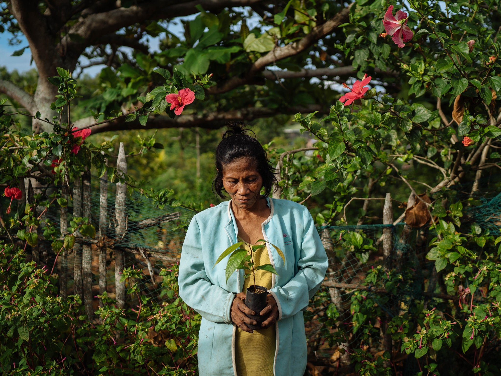 A women holds a wildling from a tree nursery initiative managed by elderly people in the Philippines