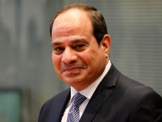 Egypt now ‘an oasis of security and stability’, claims Sisi amid clampdown on protesters