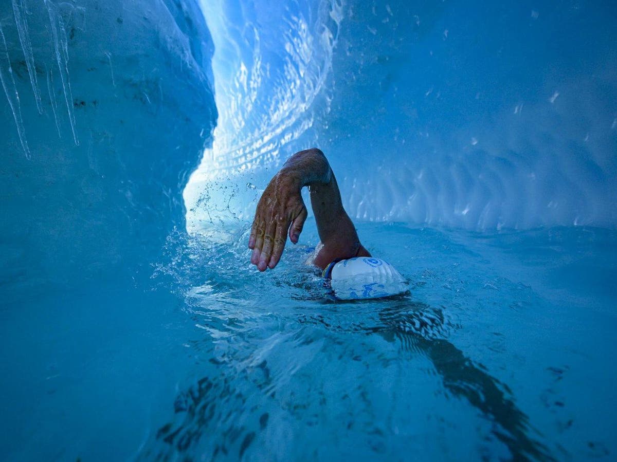 He swims. Подо льдом. Под водой зимой. Вода подо льдом. Океан подо льдом.