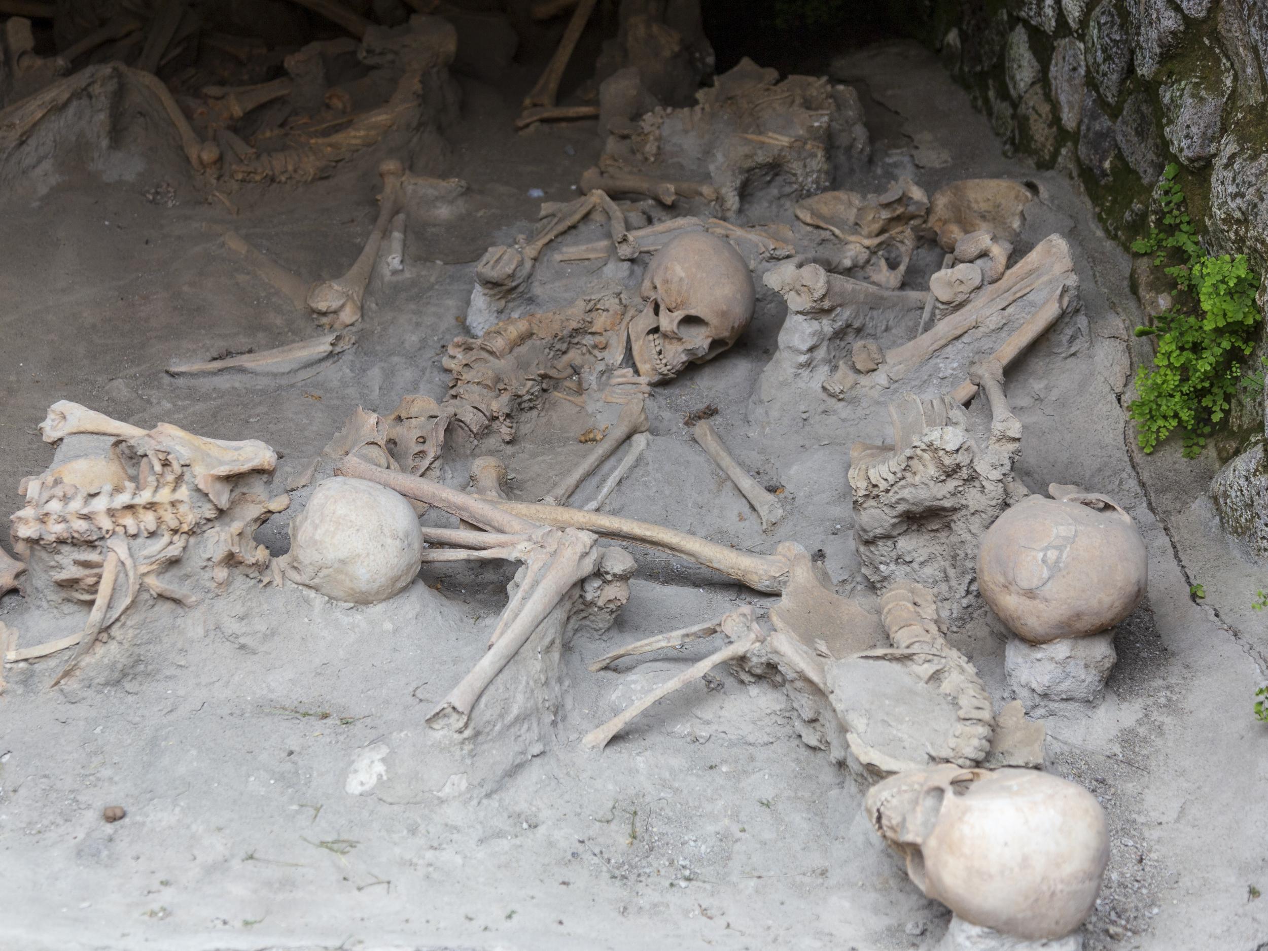 Archaeologists have found hundreds of human remains in Herculaneum buried in volcanic ash