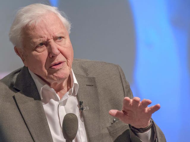 Sir David will not be speaking to the assembly about how to reach the net-zero target