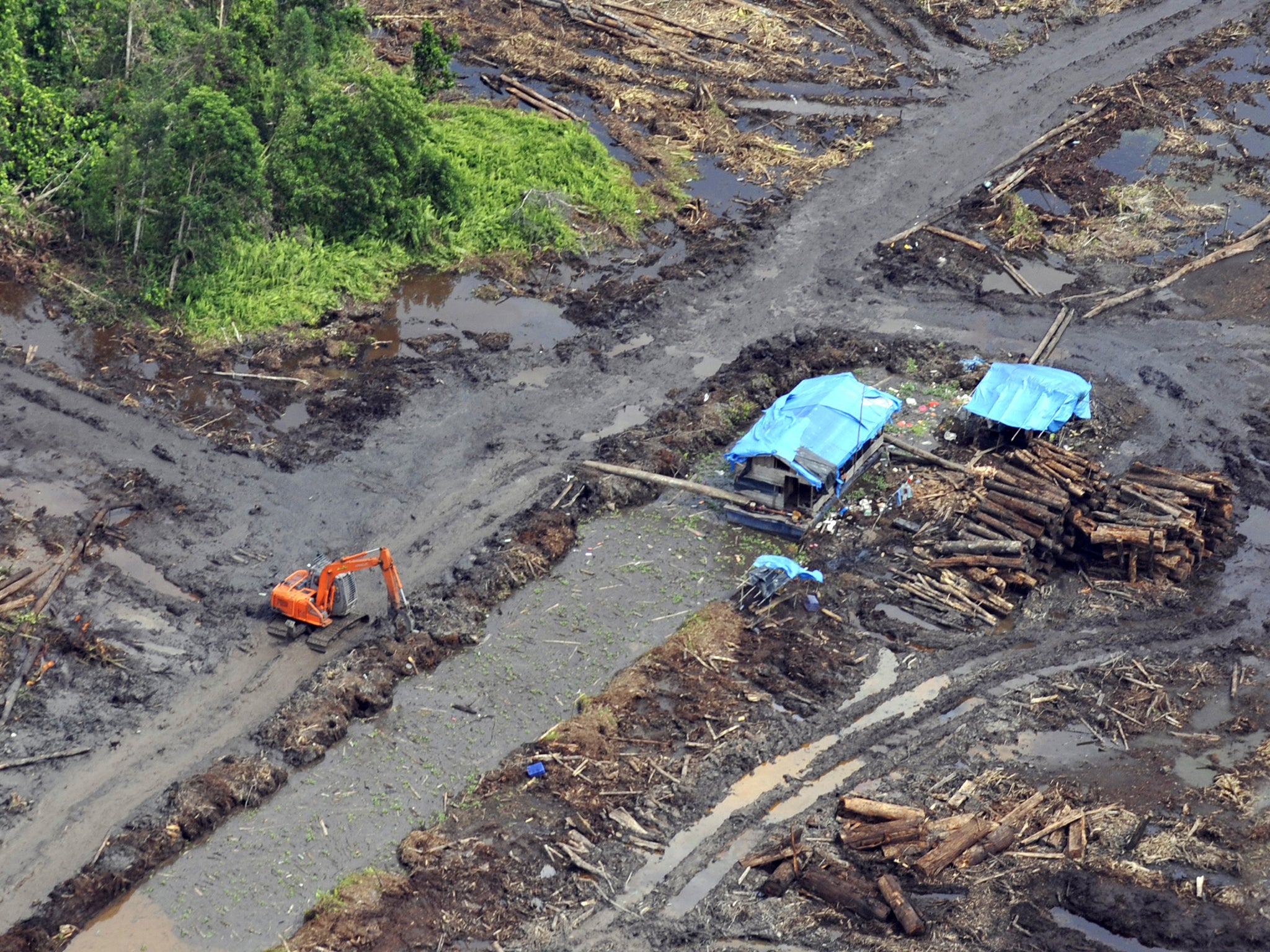 Indonesia is the world’s third-biggest emitter of greenhouse gases, mainly through deforestation (AFP/Getty)