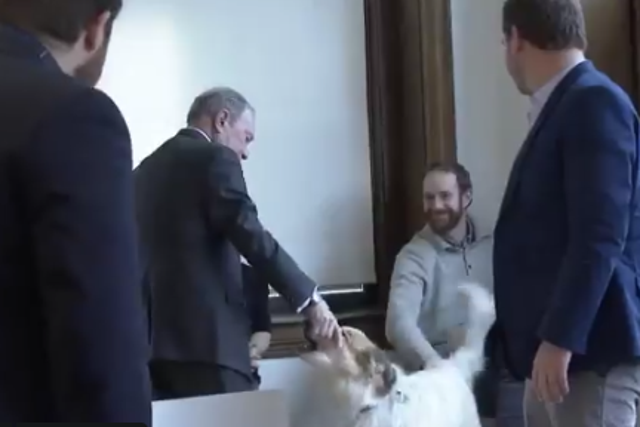 Michael Bloomberg greets dog by shaking its face (Twitter)