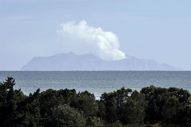Plumes of steam rose above the volcano on White Island days after the eruption