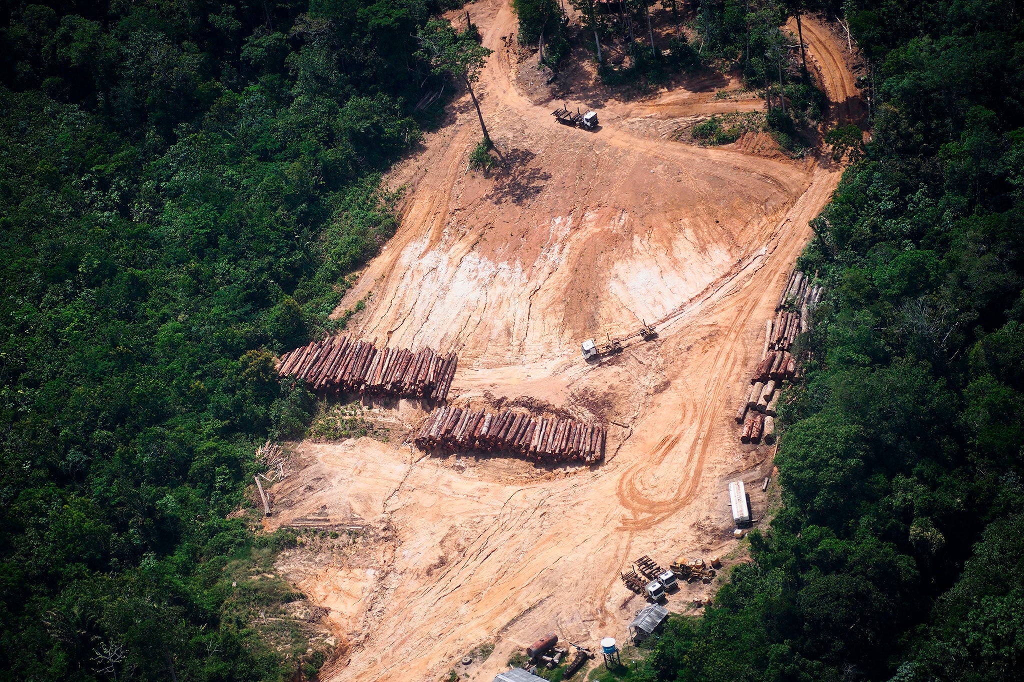The illegal timber trade is having a devastating effect on the Amazon (AFP)