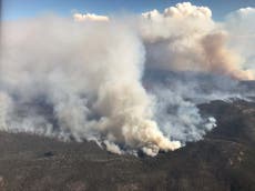 Canberra declares state of emergency as huge blaze threatens capital