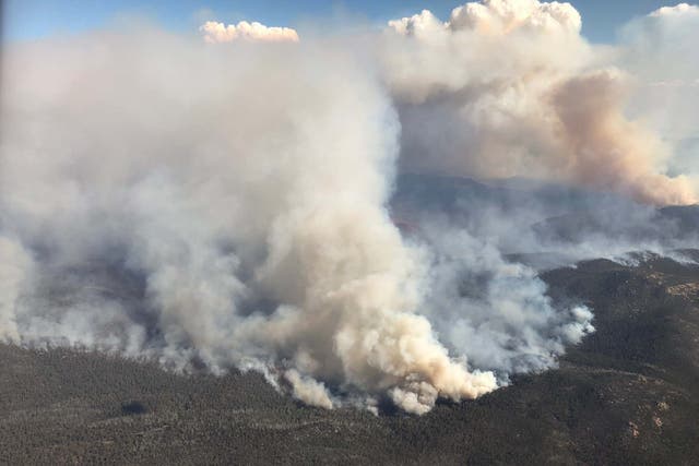 An aerial view of bushfires burning south of Canberra on January 31, 2020