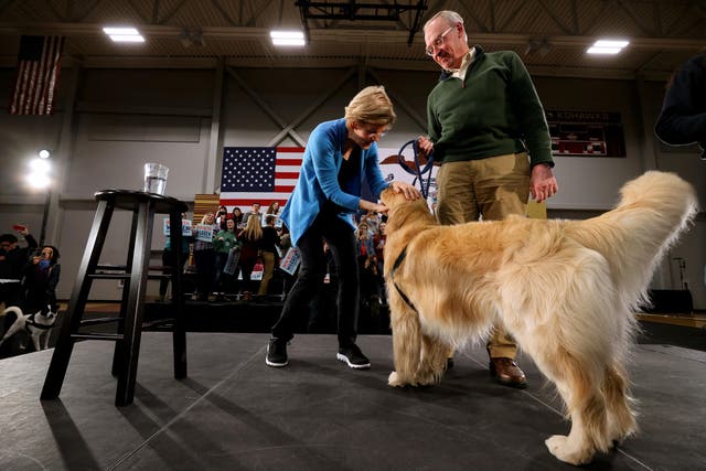Elizabeth Warren’s dog stayed on the campaign trial in Iowa as she was stuck in DC