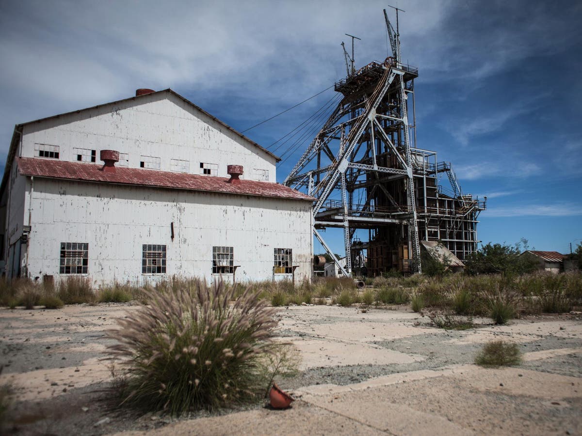 South Africa: Nine illegal miners stoned to death in ‘barbaric attack’