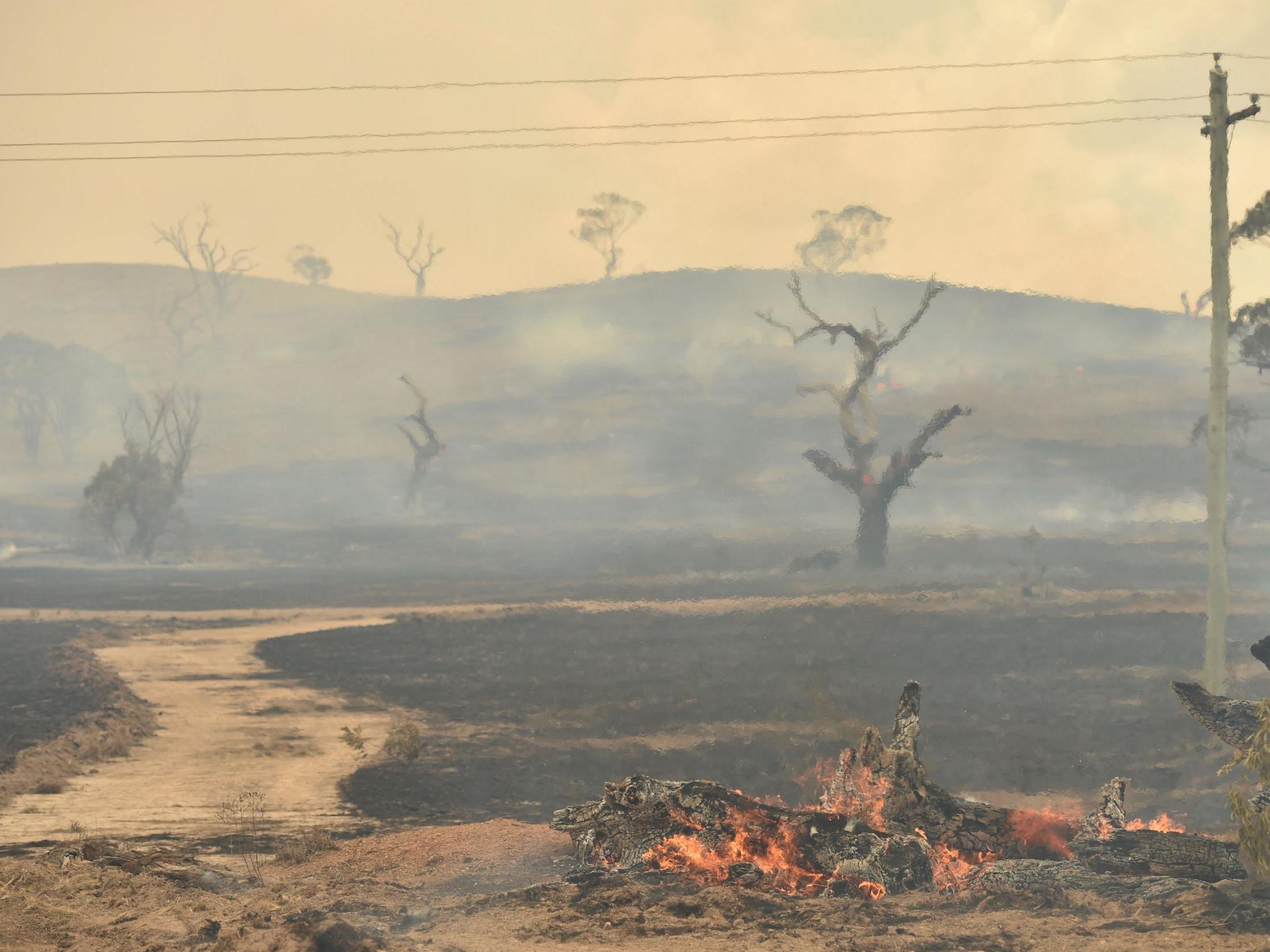 Australia has suffered from months of wildfires, which have killed dozens and burned millions of hectares