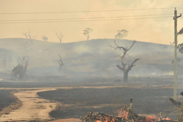 Climate change has made heatwaves and wildfires such as those which ravaged Australia more likely, scientists have said 