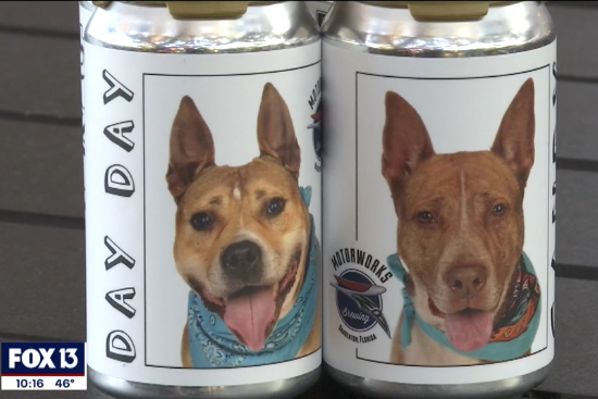 Woman sees photo of lost dog on beer can (Fox13)