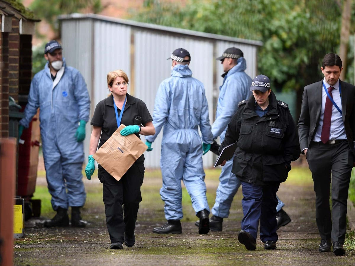 Streatham attack: Met Police chief defends officers who failed to prevent stabbing despite following Sudesh Amman