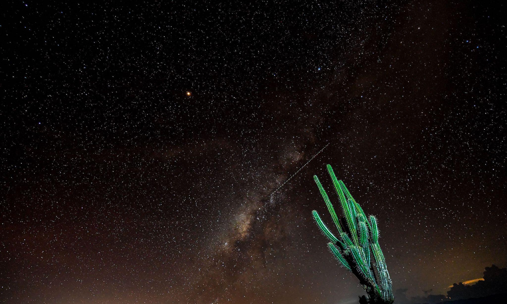 View of a prickly pear and the Milky Way in the sky over the Tatacoa Desert, in the department of Huila, Colombia, on October 11, 2018