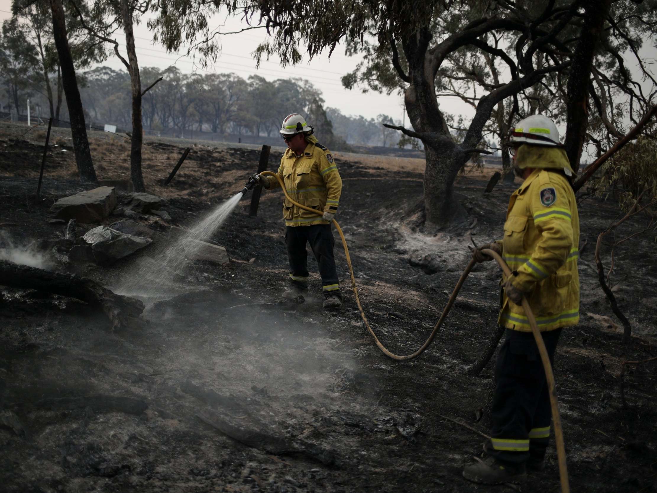 &apos;Heaviest rain in years&apos; strikes Australia after months of catastrophic wildfires