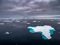 Warming Arctic ‘could reverse ocean currents and freeze Europe’