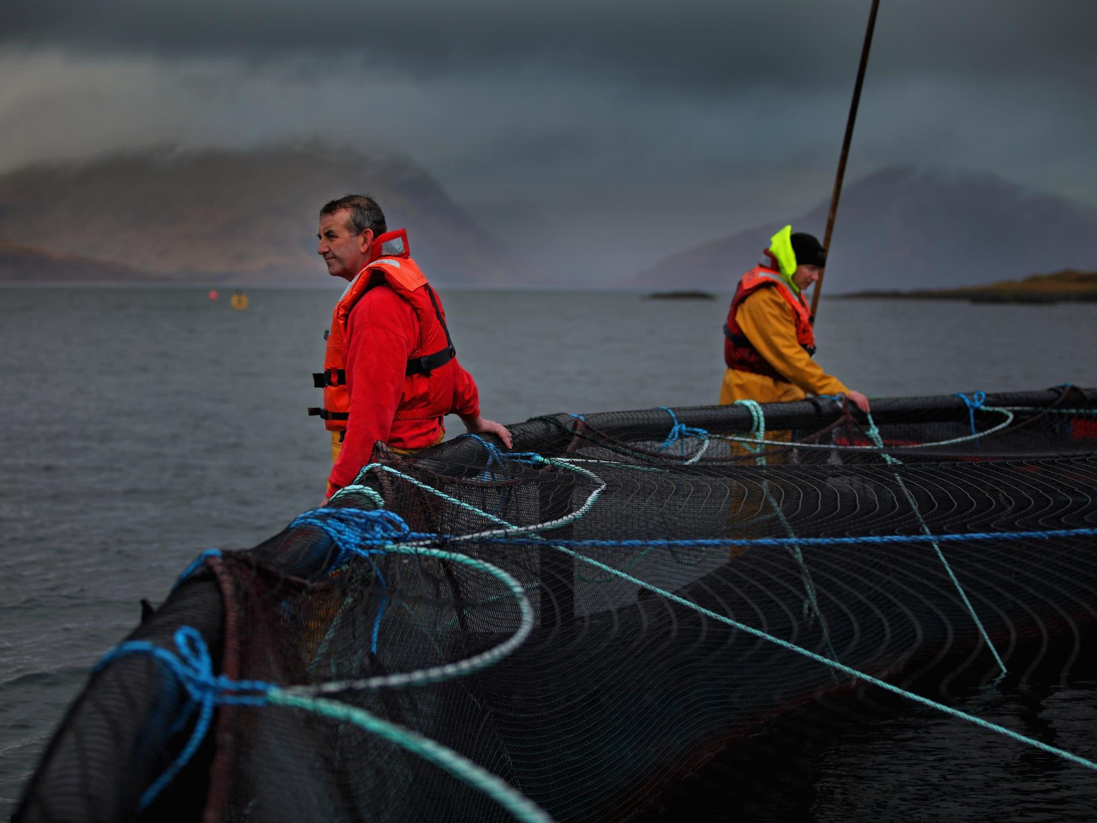 Choppy waters? Workers at a salmon farm in Oban, Scotland