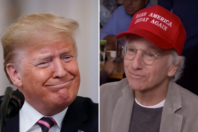 Donald Trump shares Curb Your Enthusiasm clip from episode portraying MAGA-hat supporters as 'repellent'