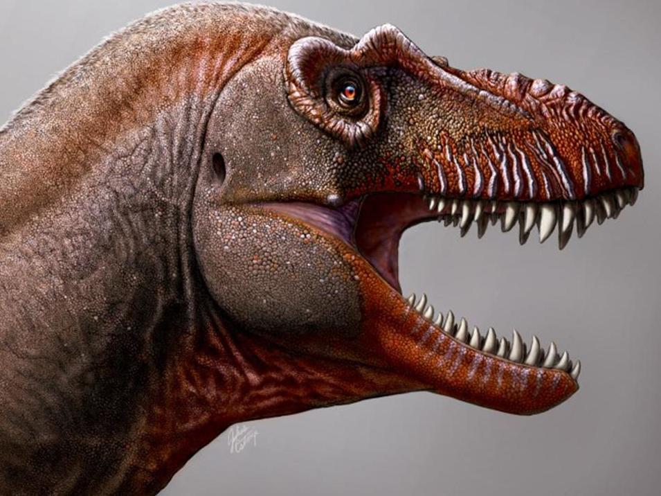 New &apos;reaper of death&apos; Tyrannosaur species discovered in Canada