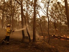 Bushfires in New South Wales contained for first time in months
