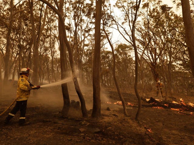 Members of the Sutherland Strike Force Rural Fire Service (RFS) work to contain a spot fire